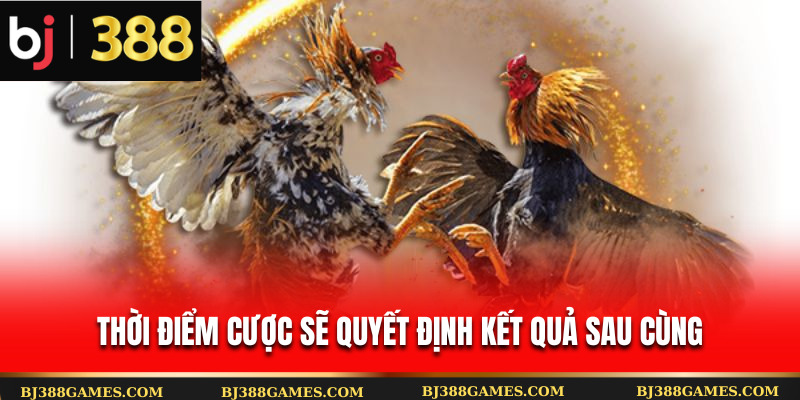 Thời điểm cược sẽ quyết định kết quả sau cùng Thời điểm cược sẽ quyết định kết quả sau cùng